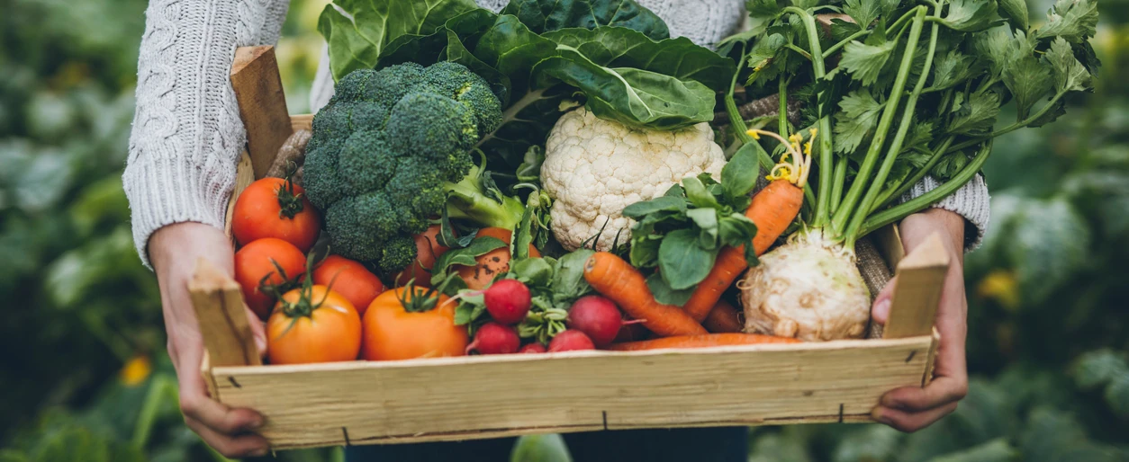 Foto van een groentepakket